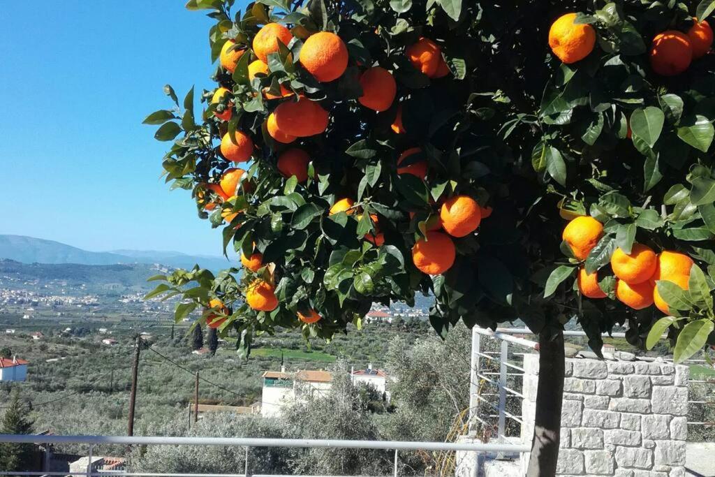 Nafplio, Hill With An Amazing View 아파트 외부 사진