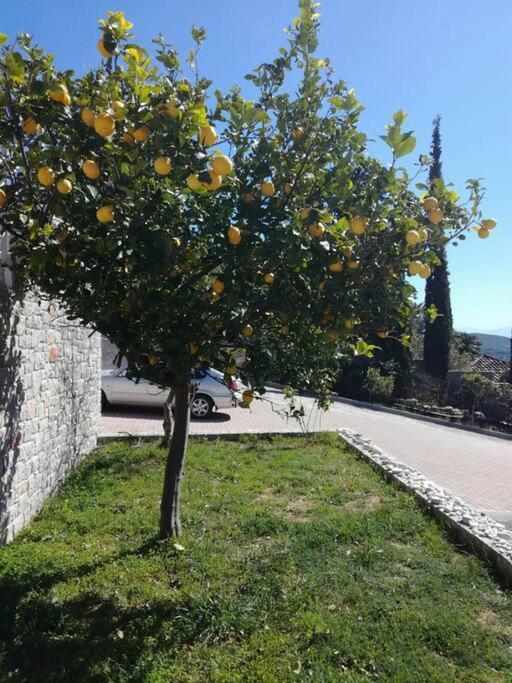 Nafplio, Hill With An Amazing View 아파트 외부 사진